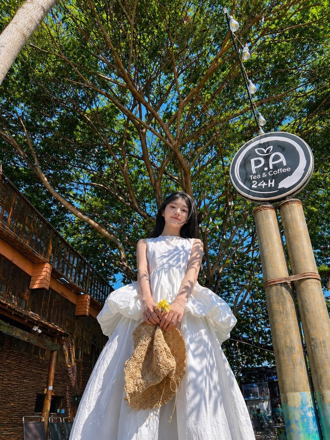 Cô gái tường gạch